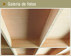 Galeria de Fotos